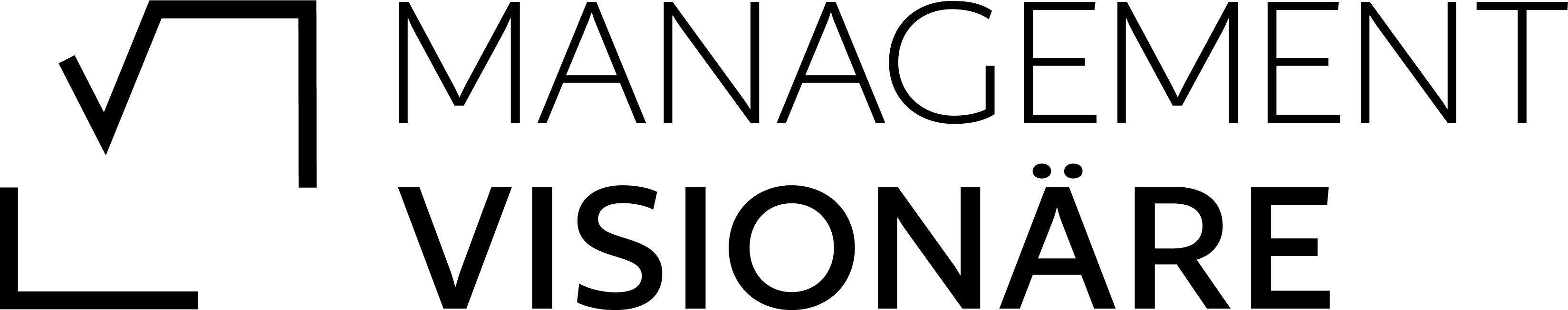 Managementvisionäre GmbH